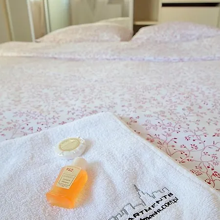 P&o Serviced Gdanski Station شقة